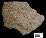 Coulbourn cord-marked rim sherd from Killens Pond site, Delaware.�Lot# 70-Close up view on right-Courtesy of the Delaware State Museums.